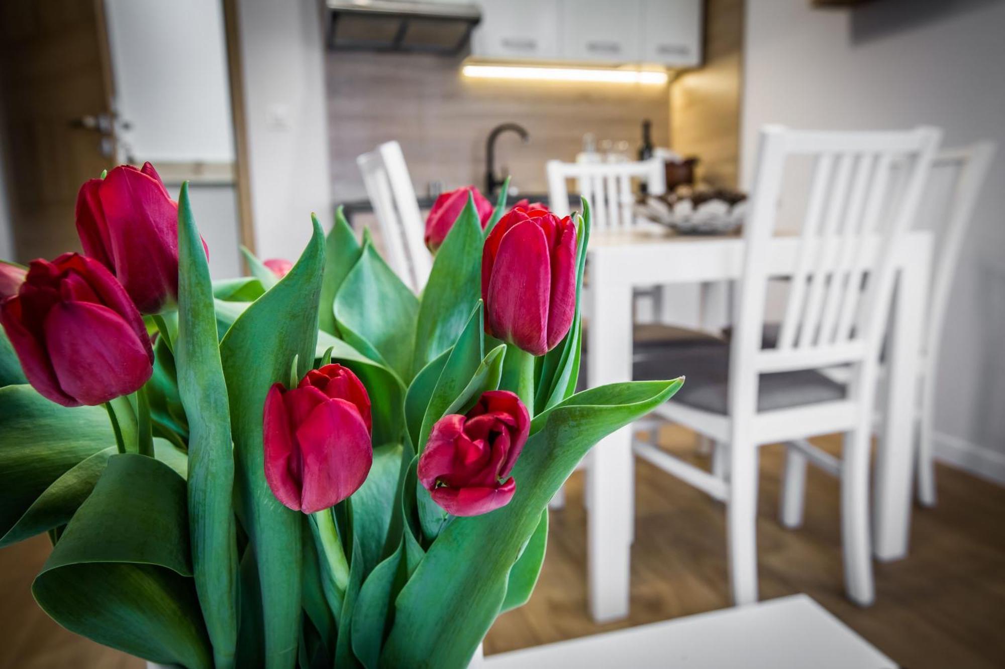Apartamenty Przy Skoczni Szczyrk Extérieur photo
